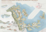 do architectural diagrams, concept sketches, and collages